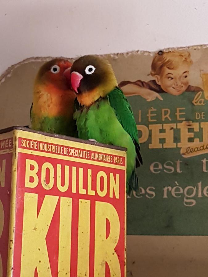 Des 2 Geais Accommodatie bij particulieren Les Playes